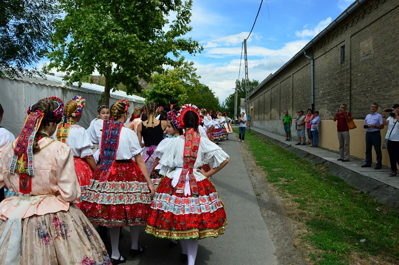 DSC_0267 (Medium).JPG